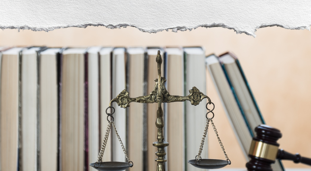 Pas de Loi de Finances 2026